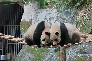 太阳报：联赛杯决赛不敌利物浦后，波切蒂诺带全队聚餐以提振士气